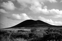 Martin d'Orgeval - Pques, 2005 Photographie noir et blanc 50x60 cm