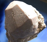 Piropo - variet di granato
