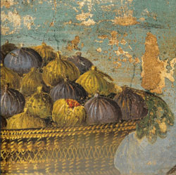 Oplontis , villa di Poppea, fichi