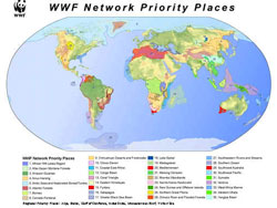 Mappa delle Aree Prioritarie del WWF nel mondo